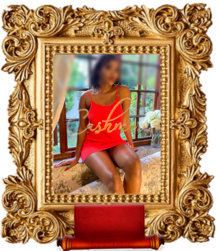 Angelica Gallery