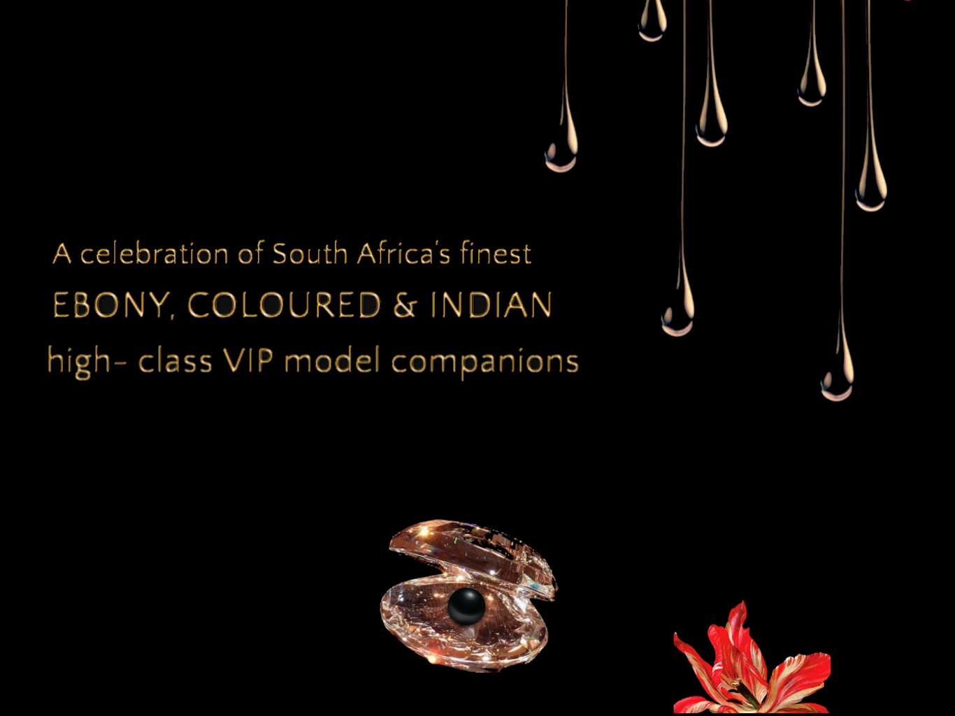 VIP Models
